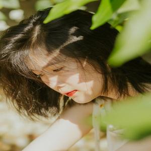 靳春宏